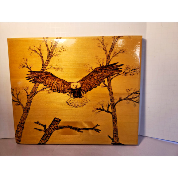 Pyrography American Folk Art Carved Bald Eagle Wood Wall Plaque Signed - Picture 4 of 5